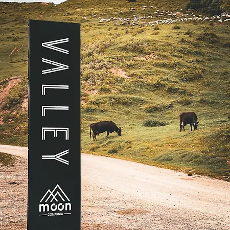 Moon Valley *